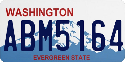 WA license plate ABM5164