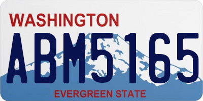 WA license plate ABM5165