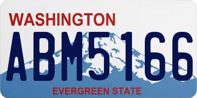 WA license plate ABM5166