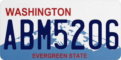 WA license plate ABM5206