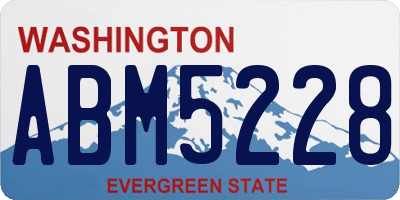 WA license plate ABM5228