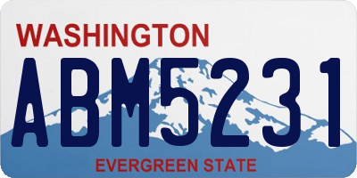 WA license plate ABM5231
