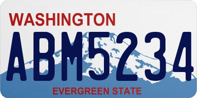 WA license plate ABM5234