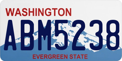 WA license plate ABM5238