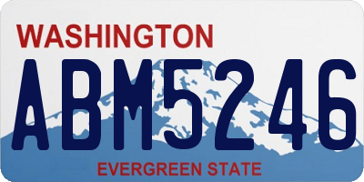 WA license plate ABM5246