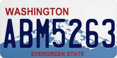 WA license plate ABM5263