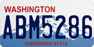 WA license plate ABM5286