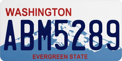 WA license plate ABM5289