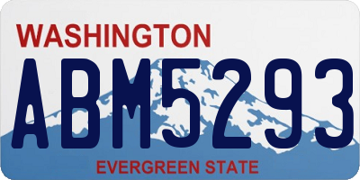 WA license plate ABM5293