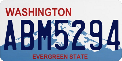 WA license plate ABM5294