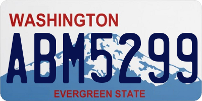 WA license plate ABM5299