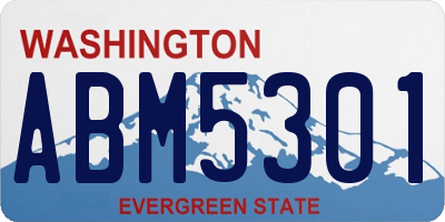 WA license plate ABM5301