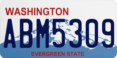 WA license plate ABM5309