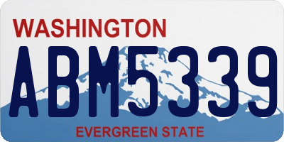 WA license plate ABM5339