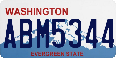 WA license plate ABM5344