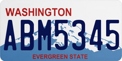 WA license plate ABM5345
