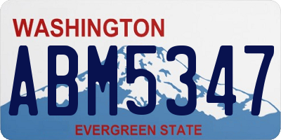 WA license plate ABM5347