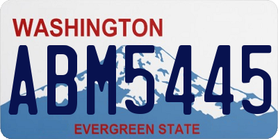 WA license plate ABM5445