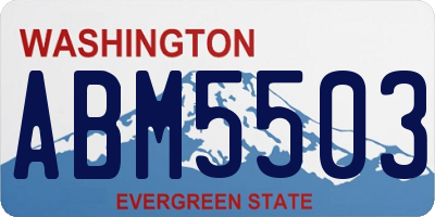 WA license plate ABM5503