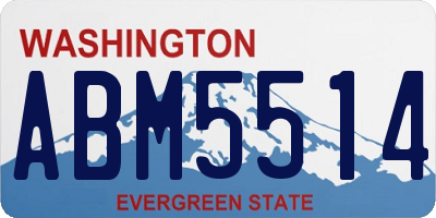 WA license plate ABM5514