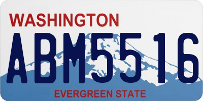 WA license plate ABM5516