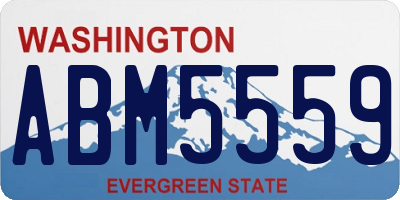 WA license plate ABM5559