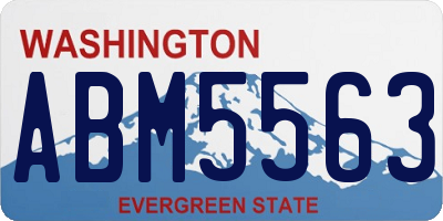 WA license plate ABM5563