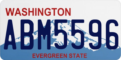 WA license plate ABM5596