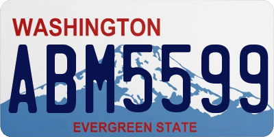 WA license plate ABM5599