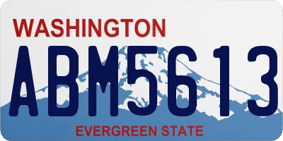 WA license plate ABM5613