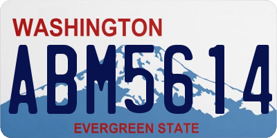 WA license plate ABM5614