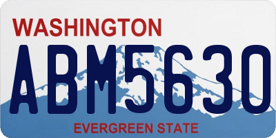 WA license plate ABM5630