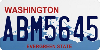 WA license plate ABM5645