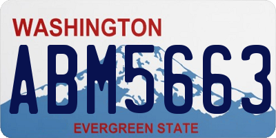 WA license plate ABM5663