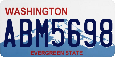 WA license plate ABM5698