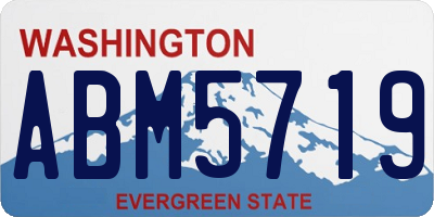 WA license plate ABM5719