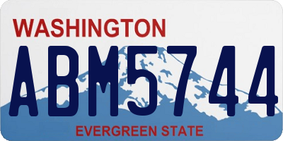 WA license plate ABM5744