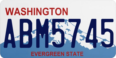 WA license plate ABM5745