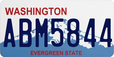 WA license plate ABM5844