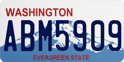 WA license plate ABM5909