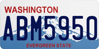 WA license plate ABM5950
