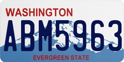 WA license plate ABM5963