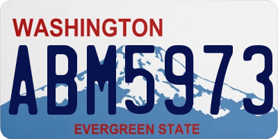 WA license plate ABM5973