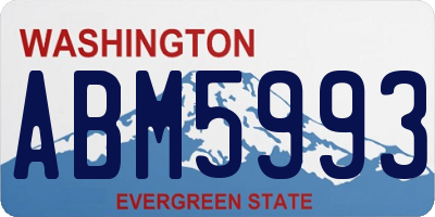 WA license plate ABM5993