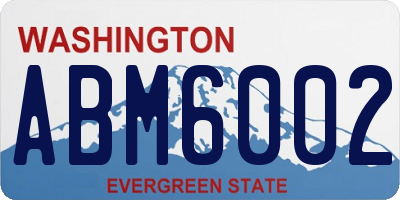 WA license plate ABM6002