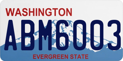 WA license plate ABM6003