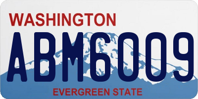 WA license plate ABM6009