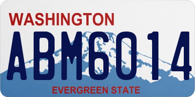 WA license plate ABM6014