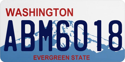 WA license plate ABM6018