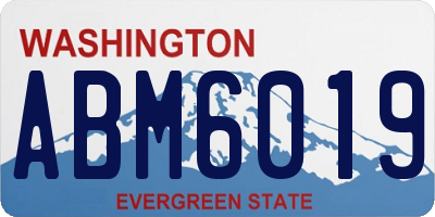 WA license plate ABM6019